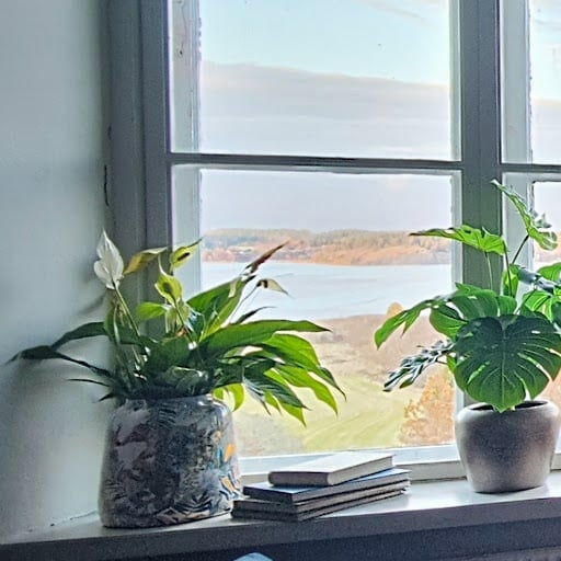 Potted plants and books on a windowsill with a scenic water and landscape view visible through the window
