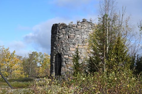 Ruins of an old stone tower surrounded by overgrown vegetation and birch trees
