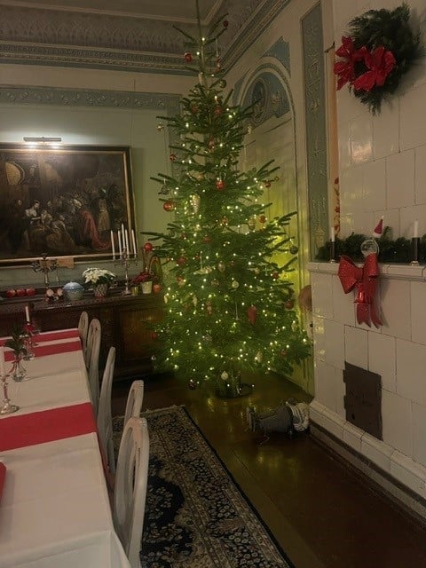A decorated dining room with an illuminated Christmas tree, festive wreaths, and holiday table settings with red accents
